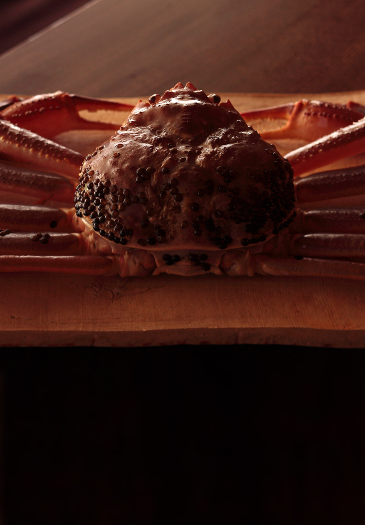 Taiza Crab