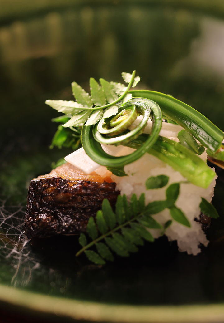 Grilled Sakura Masu and Mountain Vegetable Buds